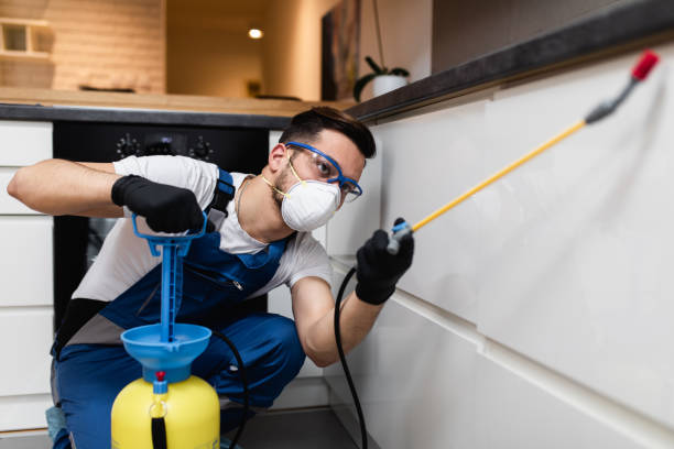 Best Flea Control Services  in Henry, IL
