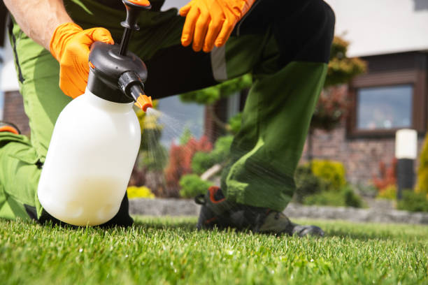 Best Emergency Pest Control  in Henry, IL