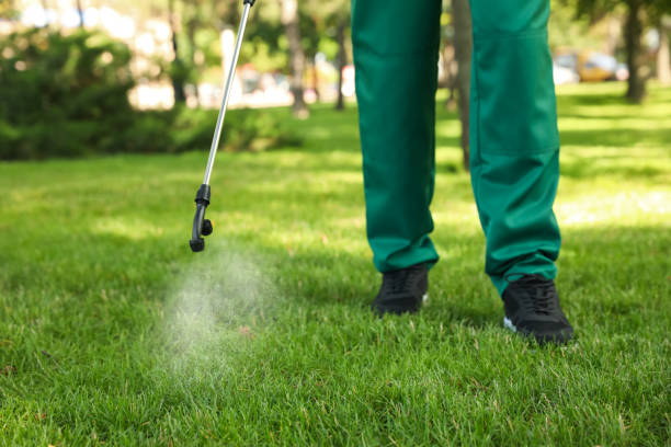 Best Affordable Pest Control Services  in Henry, IL