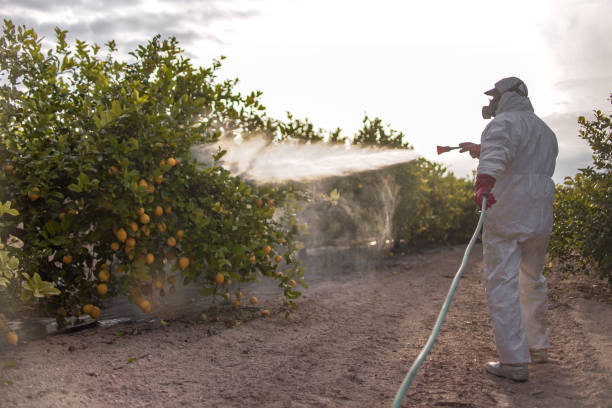 Best Pest Prevention Services  in Henry, IL
