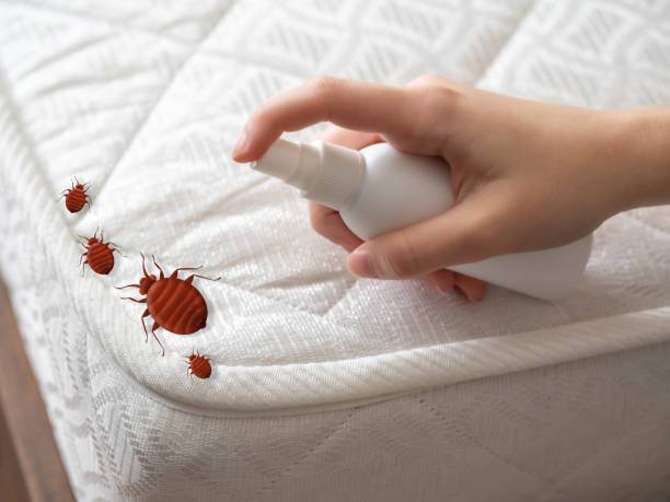 Best Best Pest Control Companies  in Henry, IL